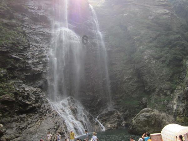 逃离梦想花园